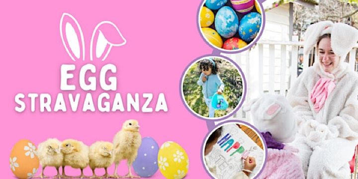Schneider Haus Easter Egg-stravaganza | Schneider Haus National Historic Site