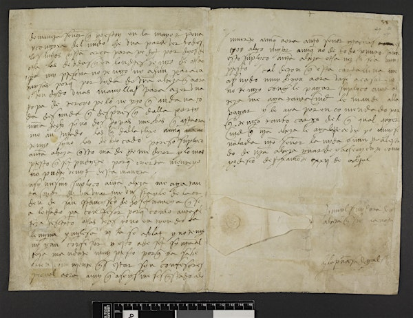 Talk: Spanish Princess, Miserable Widow and Queen of England | Peterborough Museum & Art Gallery