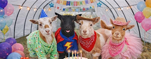 GOAT BIRTHDAY PARTY (MAY TO END OF SEPTEMBER) | Trussler's Farm