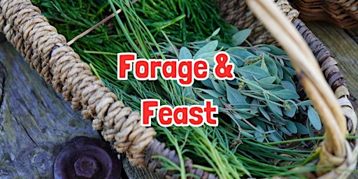 FORAGE & FEAST in Flagg (Derbyshire) | Mycock Lane