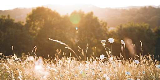 Climate Emotions Retreat | Paper Daisies