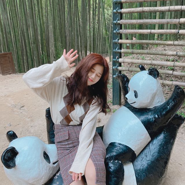 대나무숲하면 바로 떠오르는