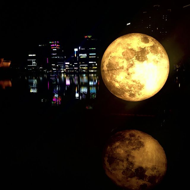 달을 품은 공원, 창원 용지공원