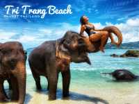 🐘ช้างๆน้อยเคยเห็นทางในทะเลหรือเปล่า 😳