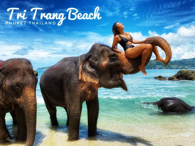 🐘ช้างๆน้อยเคยเห็นทางในทะเลหรือเปล่า 😳