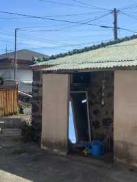 할머니집 같이 포근한 이색숙소 추천 🏡 