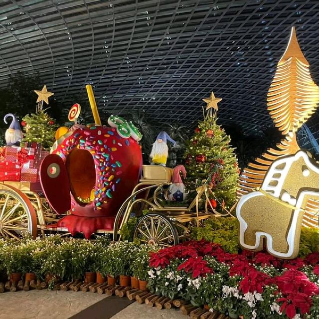 Flower Dome, Christmas light Editon