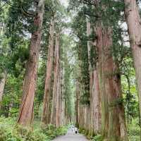 戸隠神社