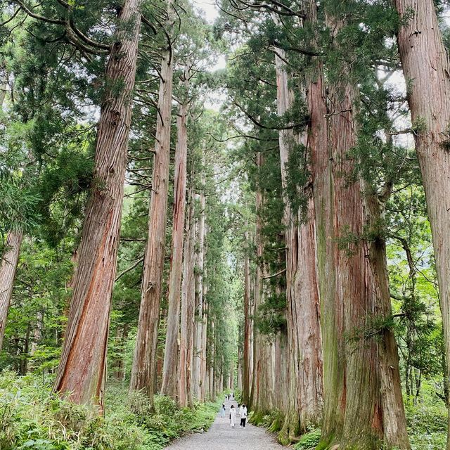 戸隠神社