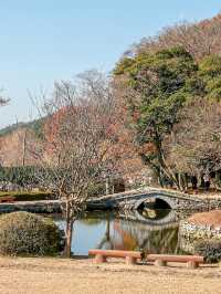 아름다운 연못이 있는 운림산방❣️
