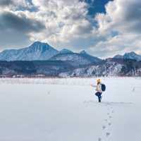 너도나도 인생샷 📸 쌉가능! 겨울 울릉도 나리분지❄️