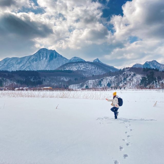 너도나도 인생샷 📸 쌉가능! 겨울 울릉도 나리분지❄️