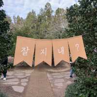 동백꽃이 보고싶을땐 제주 '동백포레스트'