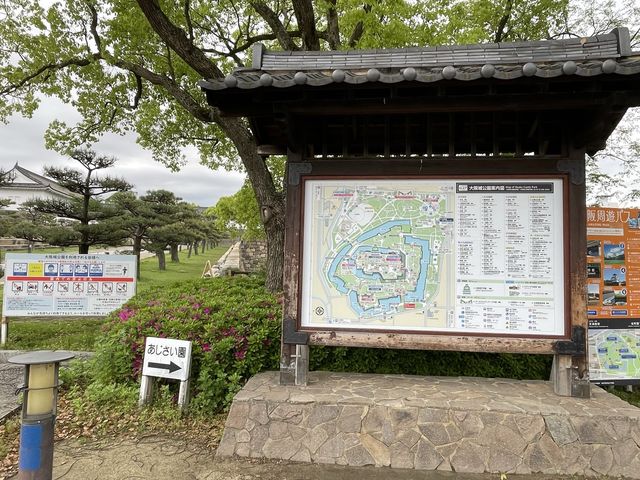 【大阪城公園】天守閣はもちろんお花見、お散歩なんでもできる