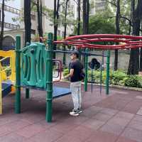 中式園林公園·兒童遊樂場📍荃灣
