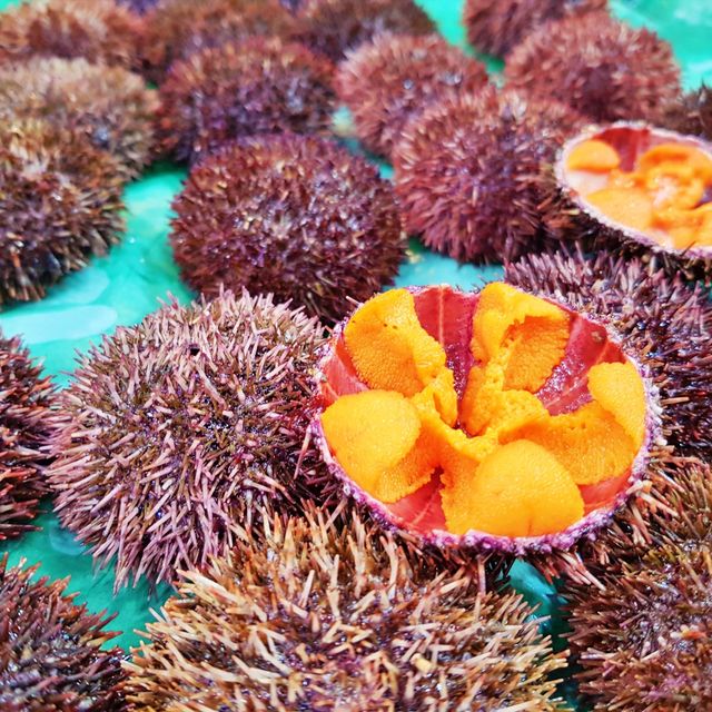 🦀 오사카 필수 코스 재래시장, 구로몬시장