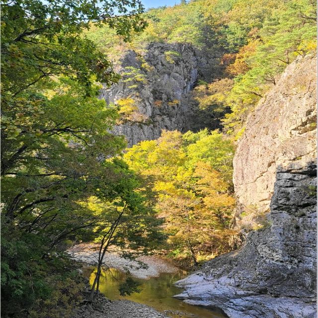 명품 단풍길트래킹