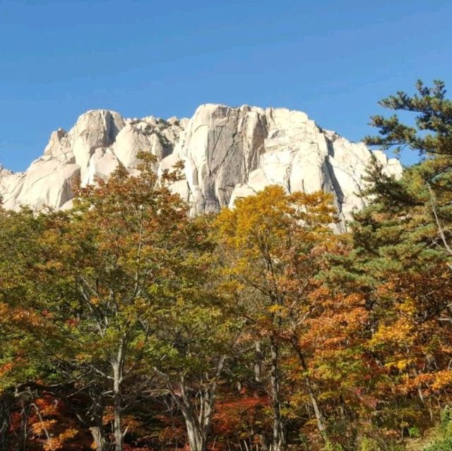Trip to Seoraksan (Mount Seorak)