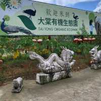 假日遊走元朗大棠半日遊