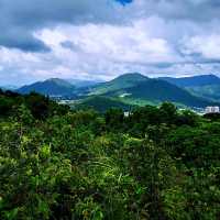 社山