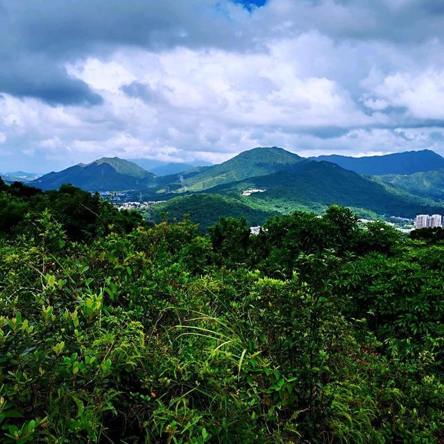 社山