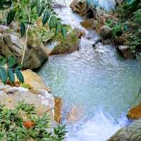 Penang Botanic Gardens