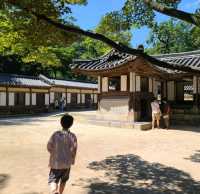 [서울]🌿부용 천국인 창덕궁 후원🏡