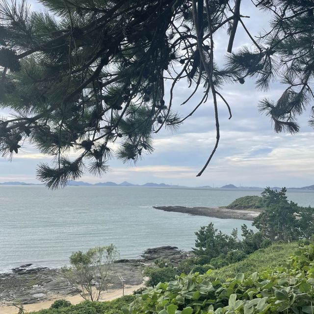 Beautiful view 