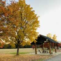【山形】四季が楽しめる ”山形西公園“