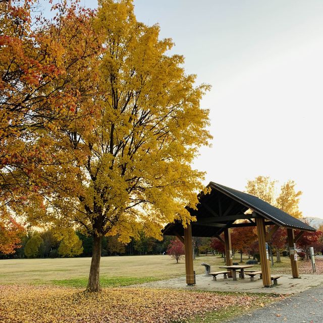【山形】四季が楽しめる ”山形西公園“