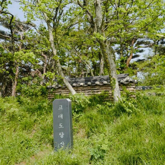고대도 각시당, 당산 피크닉