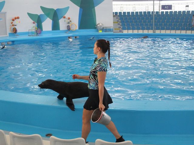 Pattaya Dolphinarium โชว์โลมาที่ดีที่สุดในเอเชีย