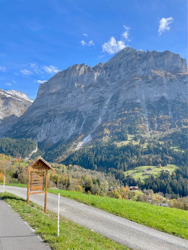 🇨🇭그린델발트에 숙소를 잡아야 하는 이유✨💚