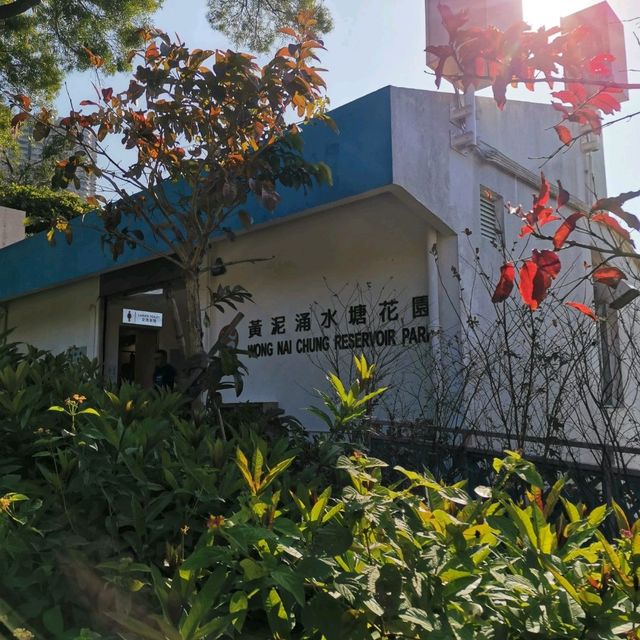 水塘扒船仔