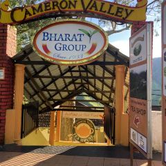 Cameron Valley Tea House 여행 사진