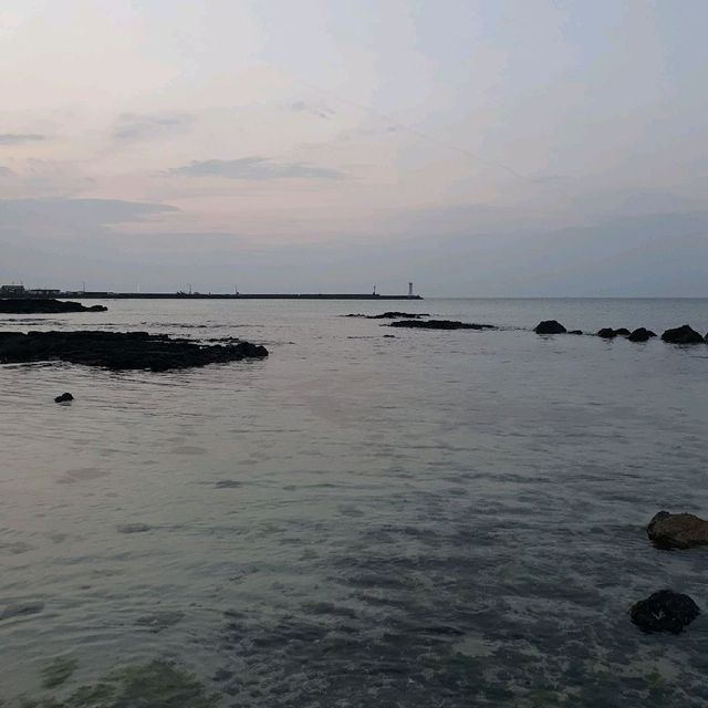 제주 서쪽 세화해변 밤산책