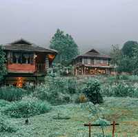 Mori Natural Farm โมริ เนเชอรัลฟาร์ม เชียงใหม่ 🦮