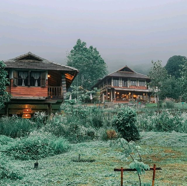 Mori Natural Farm โมริ เนเชอรัลฟาร์ม เชียงใหม่ 🦮