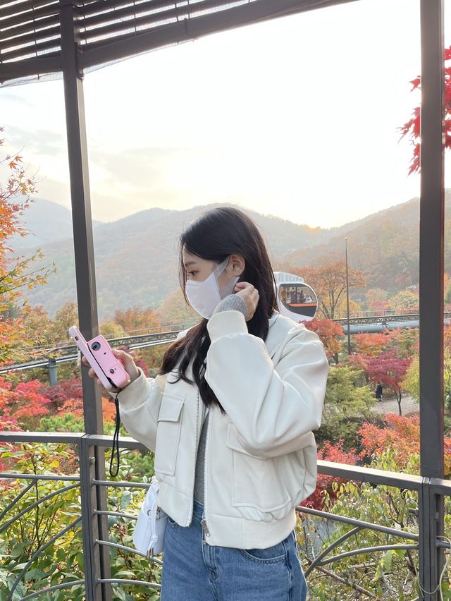가을 단풍 맛집 :: 화담숲🍂🤍
