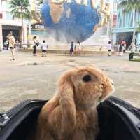 Be a happy kid at Universal Studio Singapore