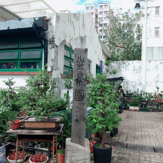 牛棚深度遊