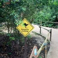 Singapore Zoo