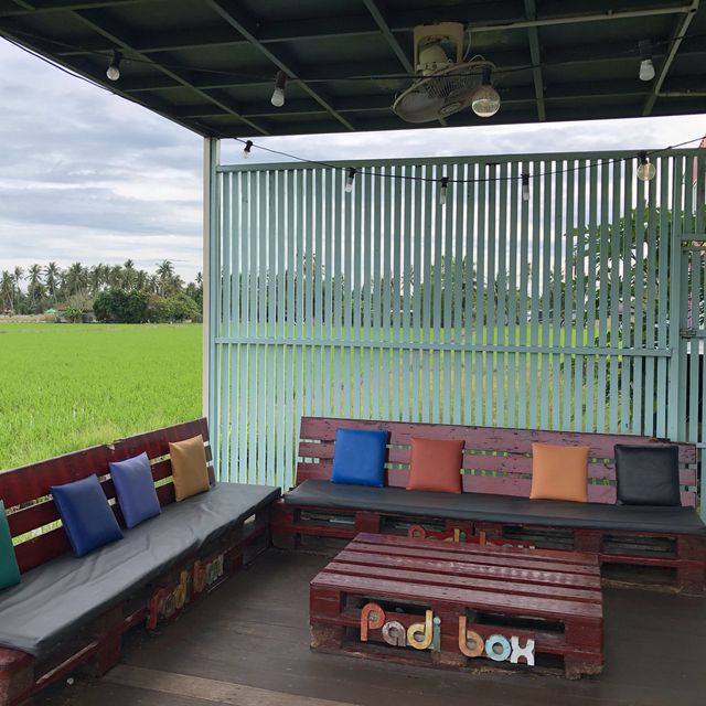 Padi Box, Sekinchan!🌾