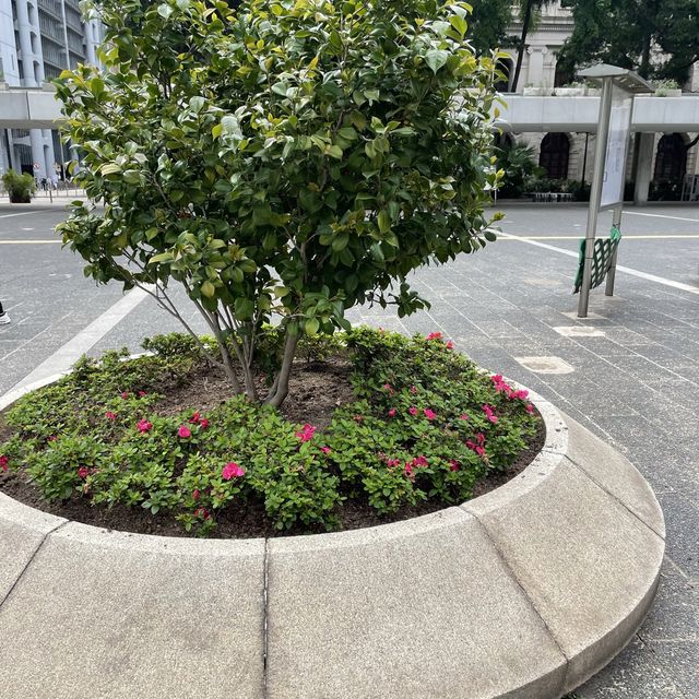 遮打花園