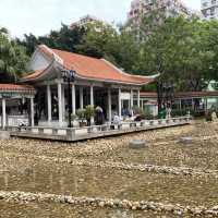 大角咀中式公園賞花｜漸變色橙黃花、烏龜、中式涼亭