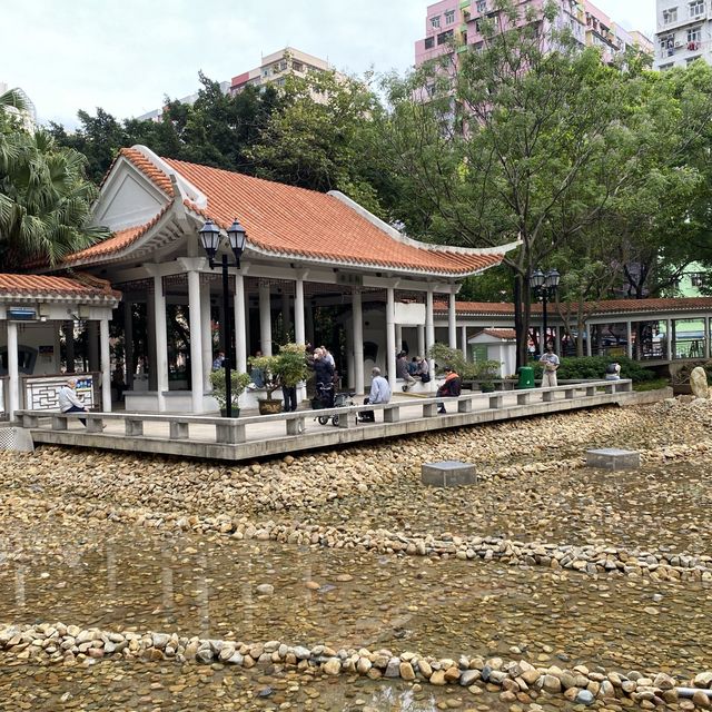 大角咀中式公園賞花｜漸變色橙黃花、烏龜、中式涼亭