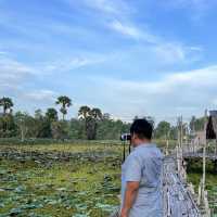 สะพานไม้สาวโนเล