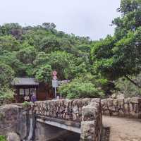 由鬧市幾分鐘行到鳥語花香的山林間