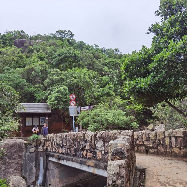 由鬧市幾分鐘行到鳥語花香的山林間