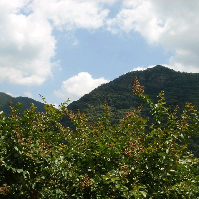 안동 봄여행 병산서원